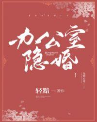 办公室隐婚by轻黯书评
