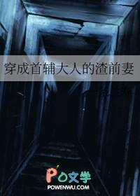 穿成首辅大人的渣前妻晋江