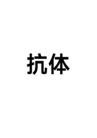 抗体字母表示什么