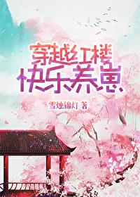 穿越红楼系列