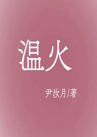 温火慢攻什么意思