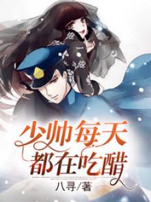 少帅每天都在吃醋主角