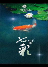 七星彩25124期二等奖爆13注