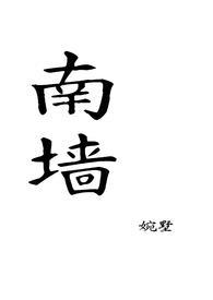 南墙by 知安