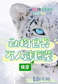 动物世界人员名单