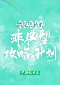 漂亮男孩的非典型攻略计划()最新章