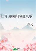 知青回城年代文