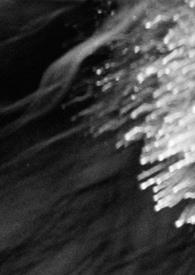 夜夜笙歌免费阅读