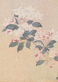 撷春色(强取豪夺)作者梧瓷