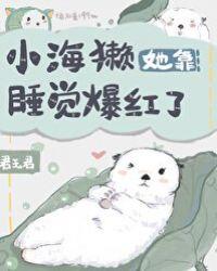 小海獭她靠睡觉爆红了简介