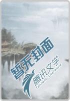 透视小医神免费阅读