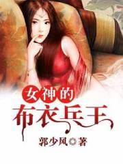女神布衣兵王免费阅读