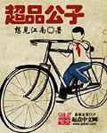 极品公子书籍