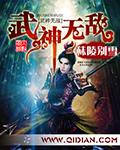 无敌武神系统