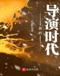 我的导演时代顶点