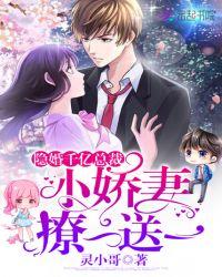 隐婚甜妻总裁老公蜜蜜宠