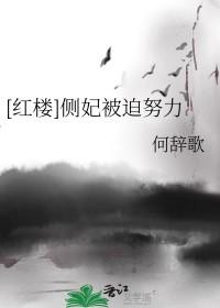 红楼侧室攻略