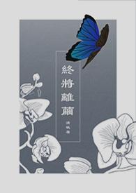 你终将离我而去歌词