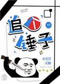 追锤是什么意思