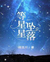 等星星坠落TXT