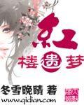 红楼遗梦全本TXT