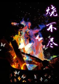烧不尽谁是攻