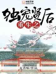 重生之独宠贤后全文