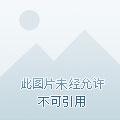 全民领主我的天赋有亿点