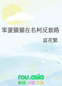 笨蛋晋江