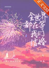全世界都在等我们结婚TXT百度