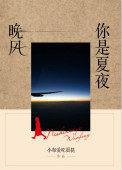 你是夏夜晚风 作者小布爱吃蛋挞