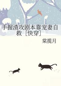 大佬他总是撩我