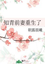 知青后悔重生文