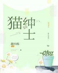 绅士猫怎么了