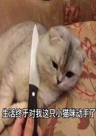 新欢旧爱by6003