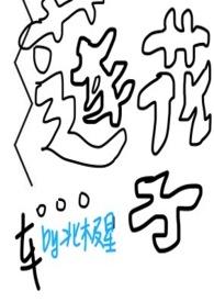 莲花子是什么样子的
