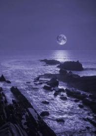 暗夜免费阅读全文