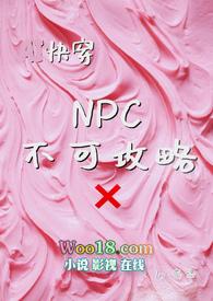 可以攻略npc