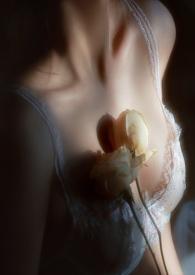 疯狗成群(NPHABO)完结了?