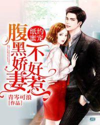 纸约蜜宠腹黑娇妻不好惹