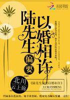 陆先生偏要以婚相许超好看