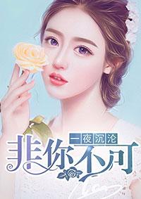 一夜沉婚
