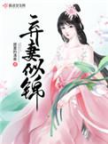 弃妻似锦免费阅读无弹窗