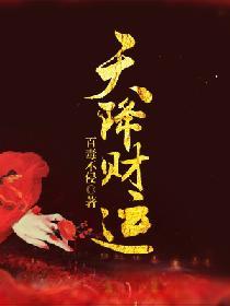 天降财运txt