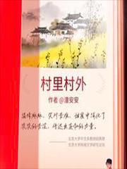 村里村外五颜