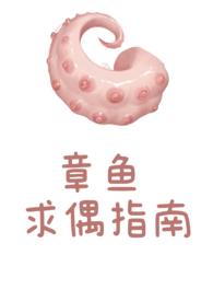 章鱼求偶指南全文免费阅读