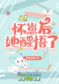 怀崽后我爆红了免费