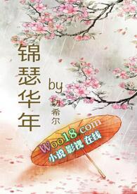 锦瑟华年书包网