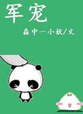 军宠文高质量