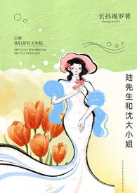 陆先生宋小姐是什么